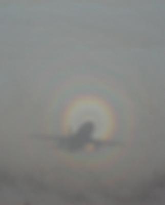 Aloha Shadow Rainbow 1.jpg