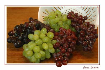GrapesMarch 7