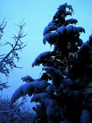 CRW_5585.jpg