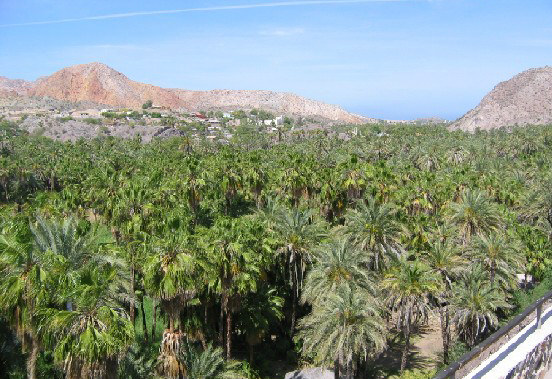 High above the oasis in Mulege