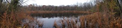 Lost Pond