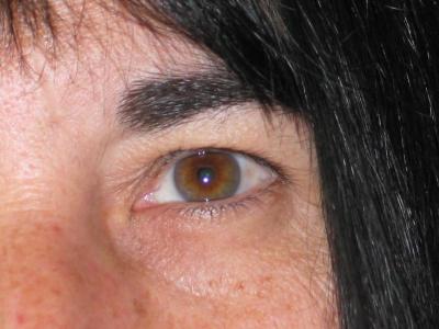 L'oeil inquisiteur