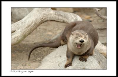 DSC_9058.jpg