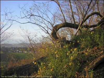 Vue sur l'infini. Terril à Gilly, Charleroi. Novembre 2004.