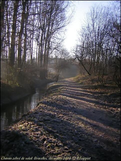 Chemin zebr de soleil. Bruxelles. Dcembre 2004.