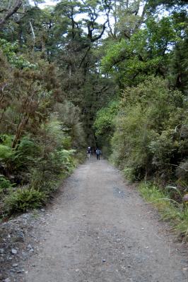 Milford Track Day 1