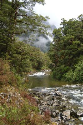 Milford Track Day 2