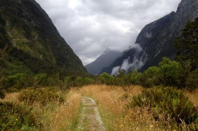 Milford Track Day 2