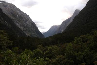 Milford Track Day 3