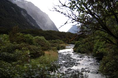 Milford Track Day 3
