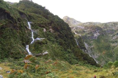 Milford Track Day 3