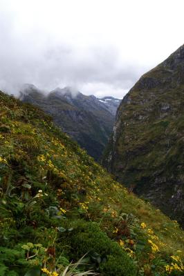 Milford Track Day 3