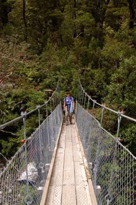 Milford Track Day 3