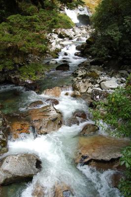 Milford Track Day 3