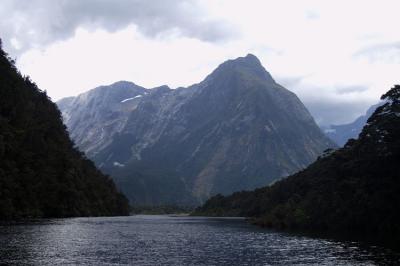 Milford Track Day 4