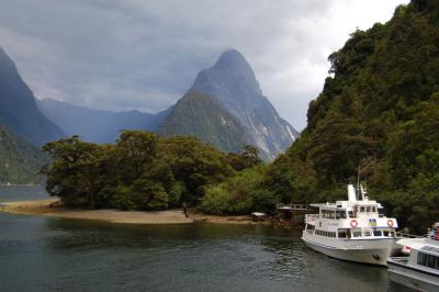 Milford Track Day 4