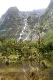 Milford Track Day 2