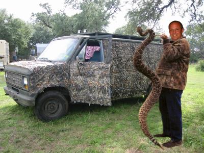 u35/bigddigital/medium/35906333.bigrattlesnake.jpg