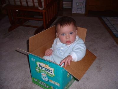 Max in the box!