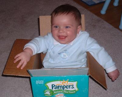 Happy Max in the box!