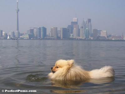 Aug21_070.jpg