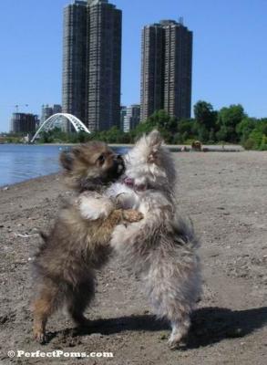 Aug23b_084.jpg