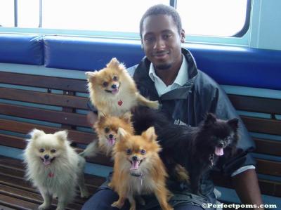 Pups 130.jpg