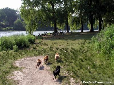 July2e_094.jpg