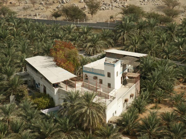 Villa surrounded by palms in the Dhayah Oasis