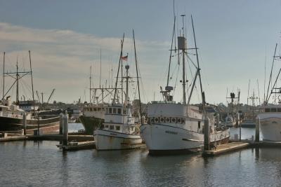 Fishing Boats Resting At The Docks