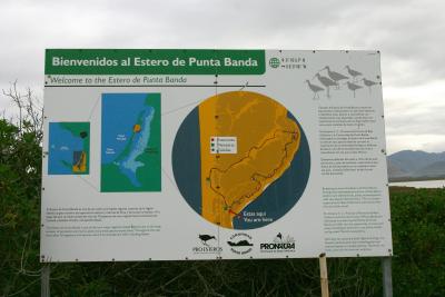 punta estero, BC