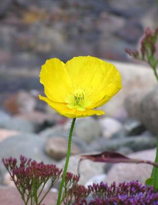 P3040414p.jpg