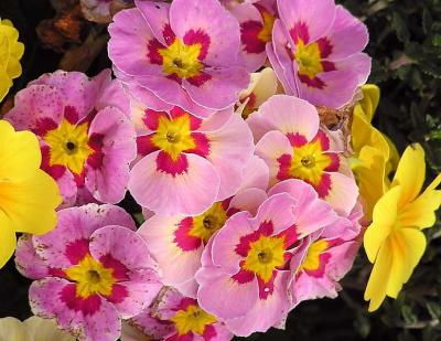 P3040421v.jpg