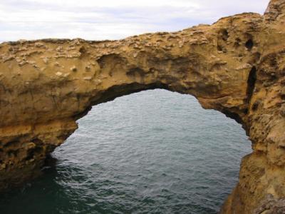 101-0199_IMG.JPG