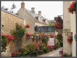 Flowered house