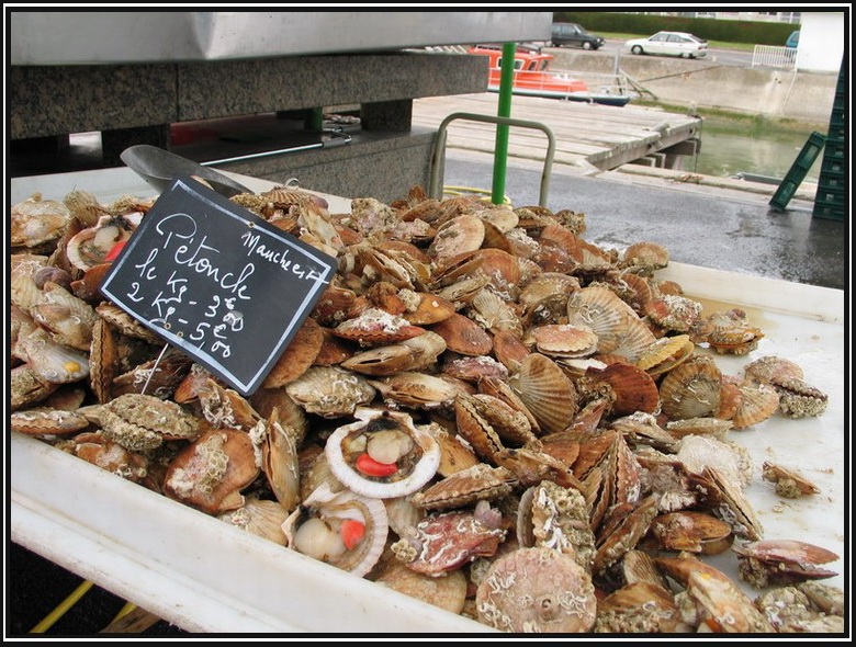 Shells