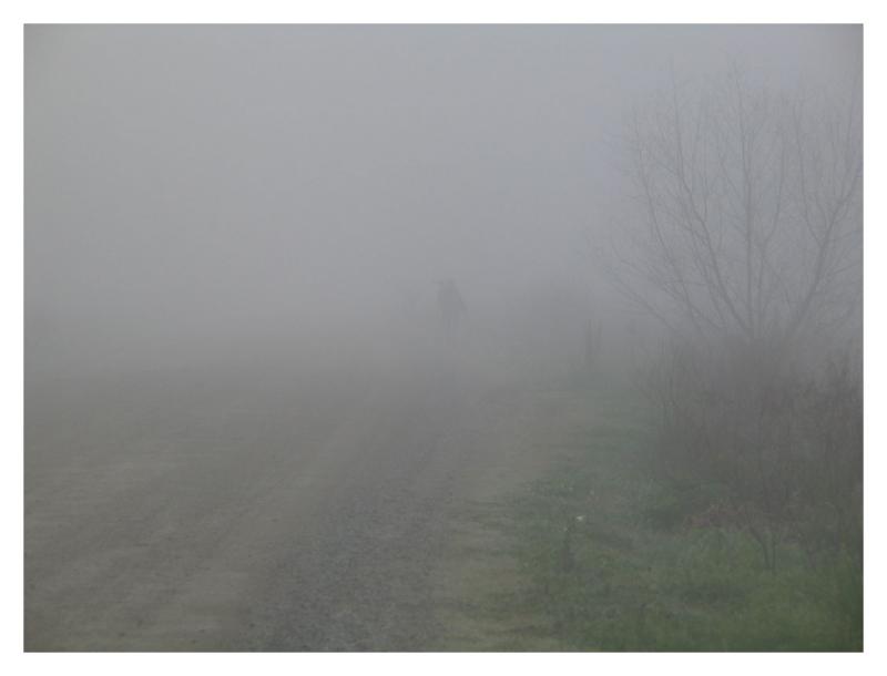 Photographer in the Fog