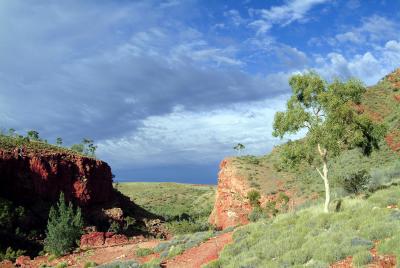 Ormiston Gorge