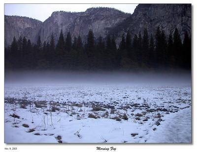 Next day - Morning fog over  the meadow