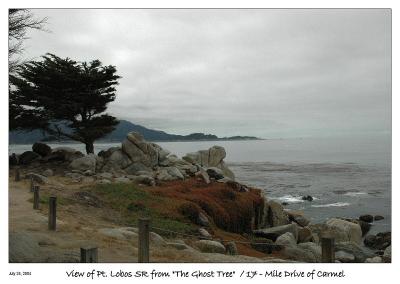 View toward Pt. Lobos