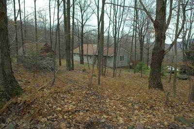 20031101-bovina-6783.jpg