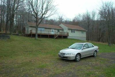 20031101-bovina-6788.jpg