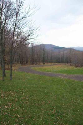 20031101-bovina-6789.jpg