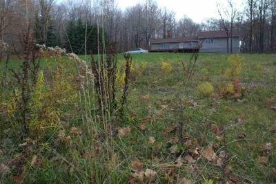 20031101-bovina-6796.jpg