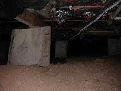 20031102-bovina-5142.jpg