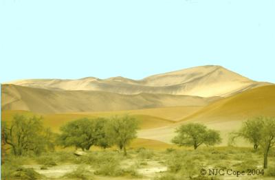 Dune drift 1