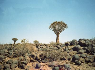 Namibia Scenery & Wildlife