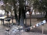 Whispering Pines - Near Julian, CA<br><br><br>