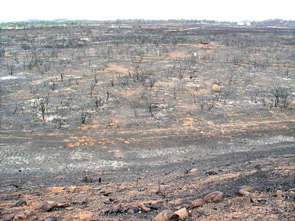 Miramar Area - Scorched Earth - 10-31-03