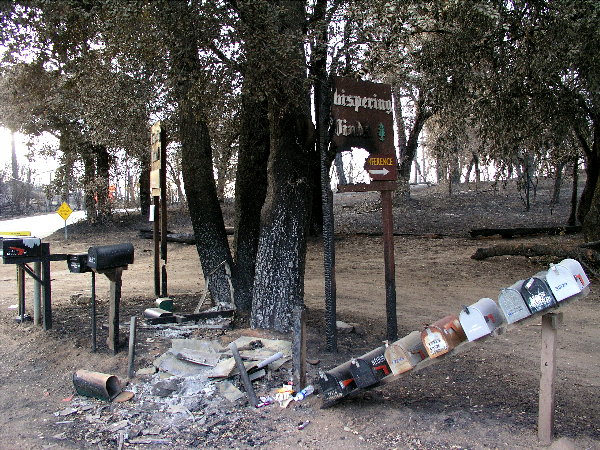 Whispering Pines - Near Julian, CA<br><br><br>